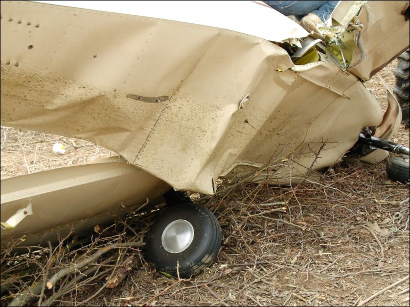 So much for the belly and the landing gear.