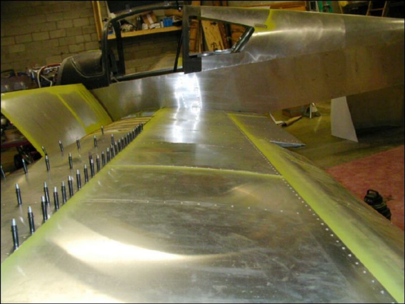 Rivet top rear skins